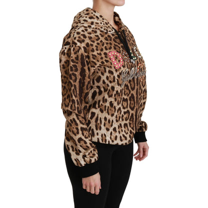Dolce & Gabbana Brown Hooded Studded Ayers Leopard Sweater Dolce & Gabbana