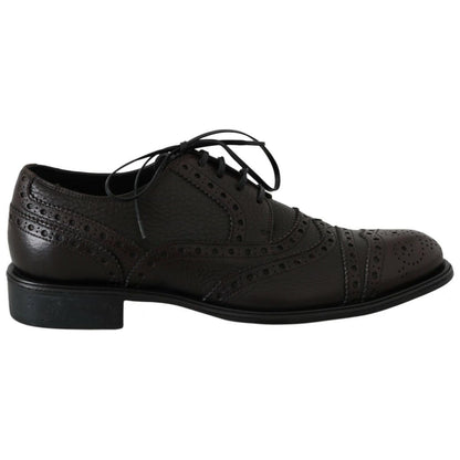 Dolce & Gabbana Brown Leather Wingtip Derby Formal Shoes Dolce & Gabbana