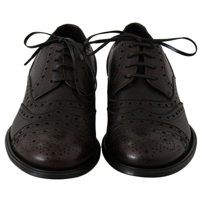 Dolce & Gabbana Brown Leather Wingtip Derby Formal Shoes Dolce & Gabbana