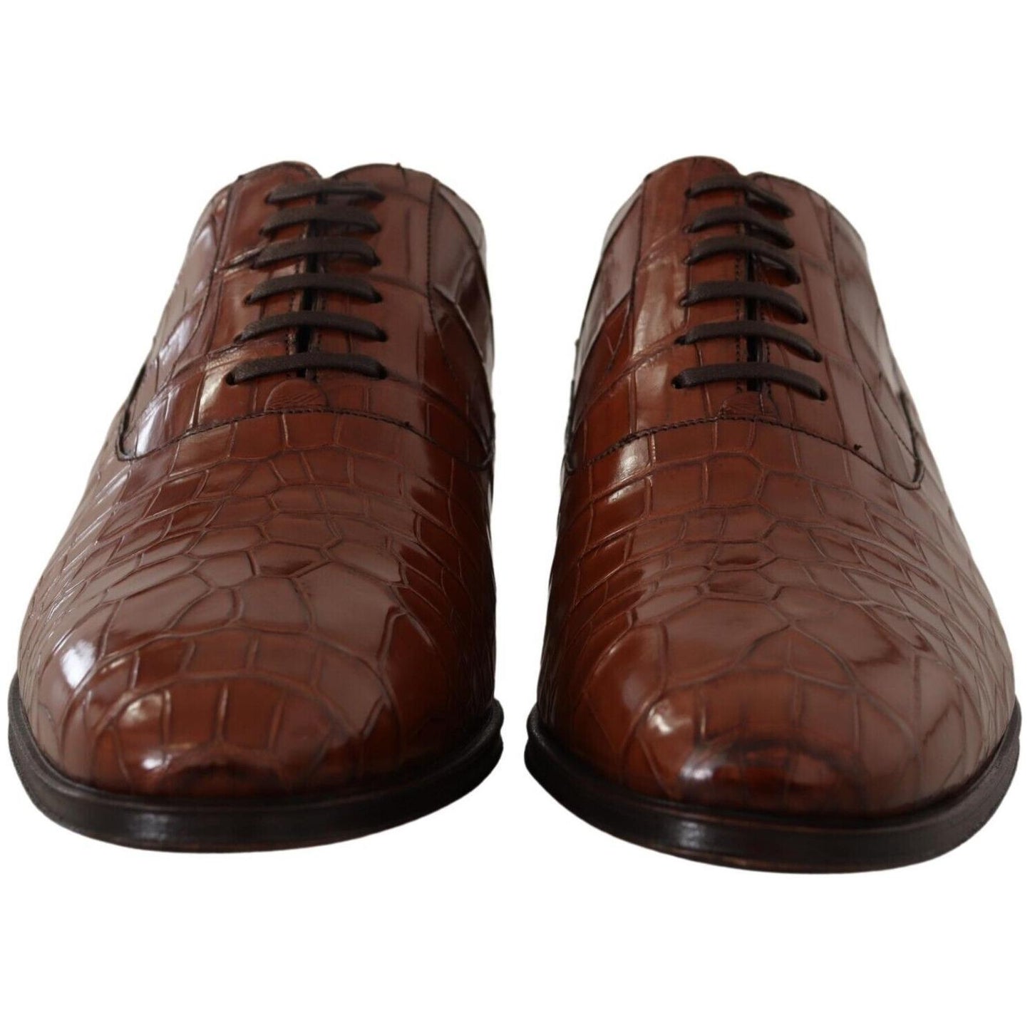 Dolce & Gabbana Brown Crocodile Leather Mens Formal Derby Shoes Dolce & Gabbana