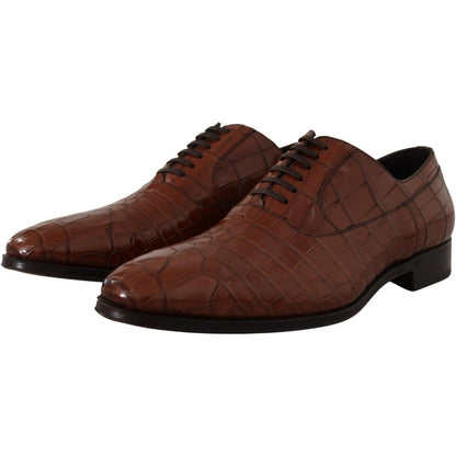 Dolce & Gabbana Brown Crocodile Leather Mens Formal Derby Shoes Dolce & Gabbana