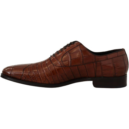 Dolce & Gabbana Brown Crocodile Leather Mens Formal Derby Shoes Dolce & Gabbana