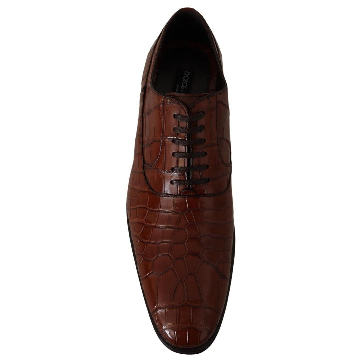 Dolce & Gabbana Brown Crocodile Leather Mens Formal Derby Shoes Dolce & Gabbana