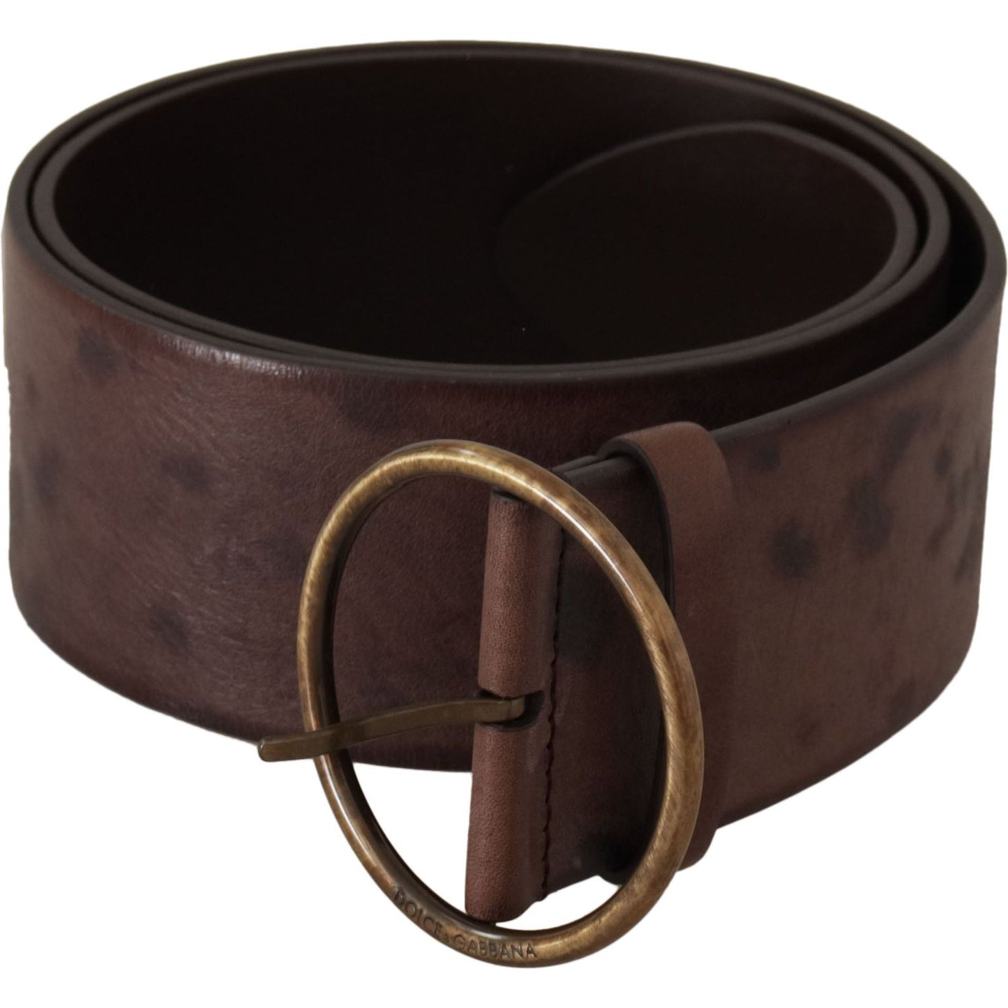 Dolce & Gabbana Dark Brown Wide Calf Leather Logo Round Buckle Belt Dolce & Gabbana