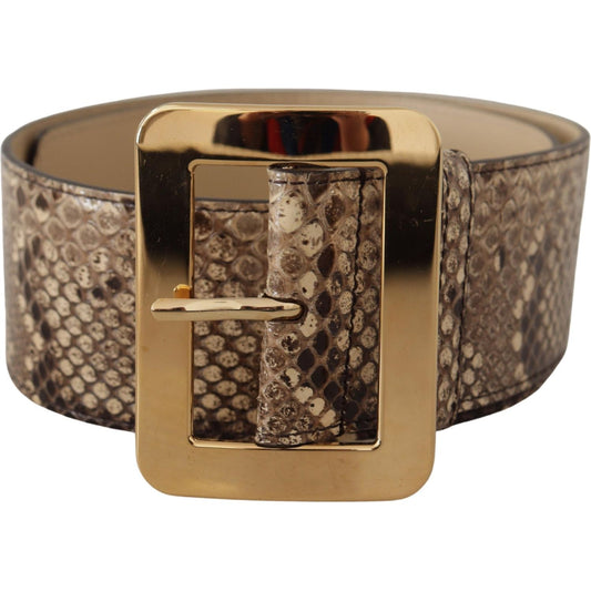 Dolce & Gabbana Brown Exotic Wide Waist Leather Gold Metal Buckle Belt Dolce & Gabbana