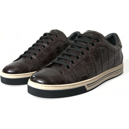 Dolce & Gabbana Brown Croc Exotic Leather Men Casual Sneakers Shoes Dolce & Gabbana