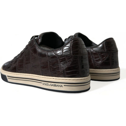 Dolce & Gabbana Brown Croc Exotic Leather Men Casual Sneakers Shoes Dolce & Gabbana