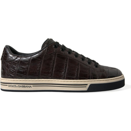 Dolce & Gabbana Brown Croc Exotic Leather Men Casual Sneakers Shoes Dolce & Gabbana