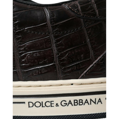 Dolce & Gabbana Brown Croc Exotic Leather Men Casual Sneakers Shoes Dolce & Gabbana