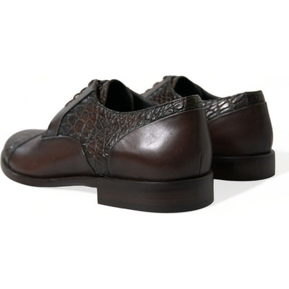 Dolce & Gabbana Brown Exotic Leather Lace Up Oxford Dress Shoes Dolce & Gabbana