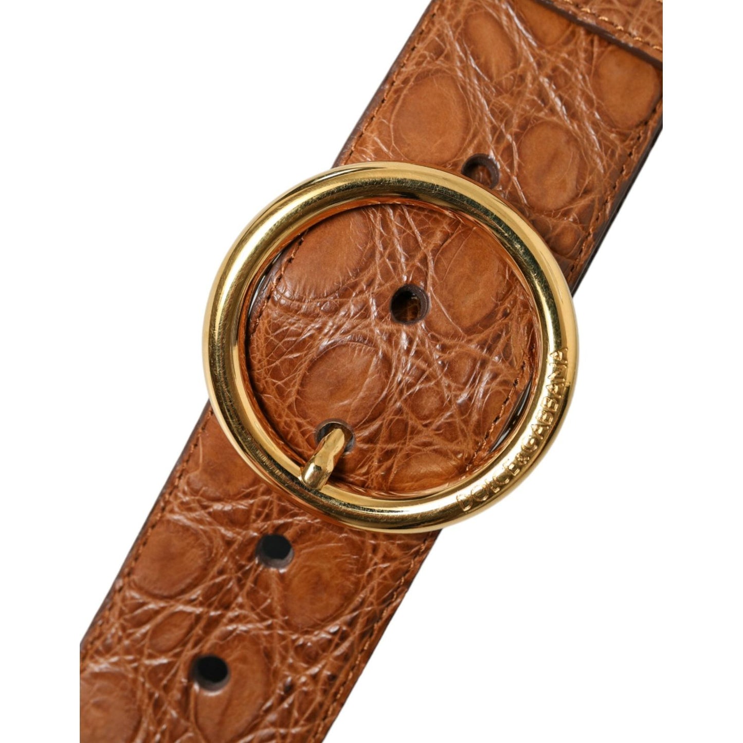 Dolce & Gabbana Brown Exotic Leather Round Buckle Belt Dolce & Gabbana