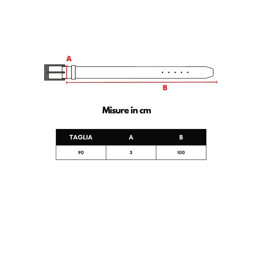 Dolce & Gabbana Brown Leather Regular Belt