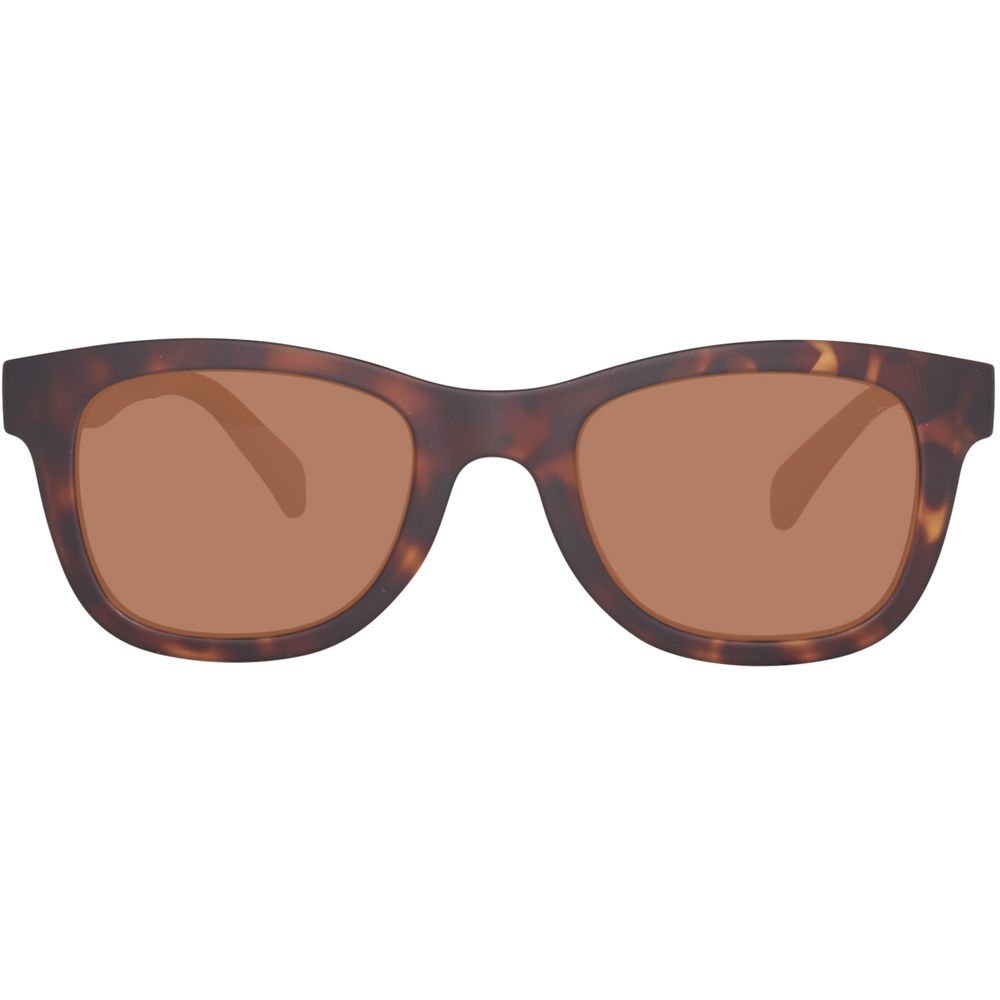 Timberland Brown Injected Sunglasses