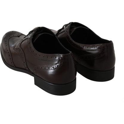Dolce & Gabbana Brown Leather Broques Oxford Wingtip Shoes