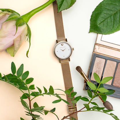 PIERRE CARDIN MOD. CCM-0519-VA PIERRE CARDIN