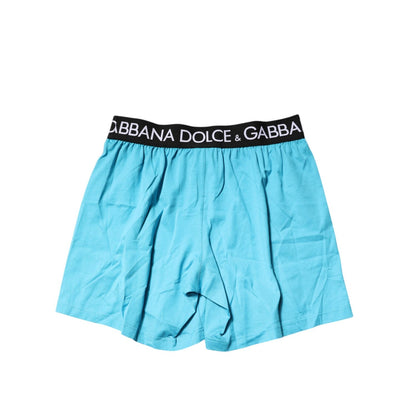Dolce & Gabbana Blue Logo Waist Regular Boxer Shorts Underwear