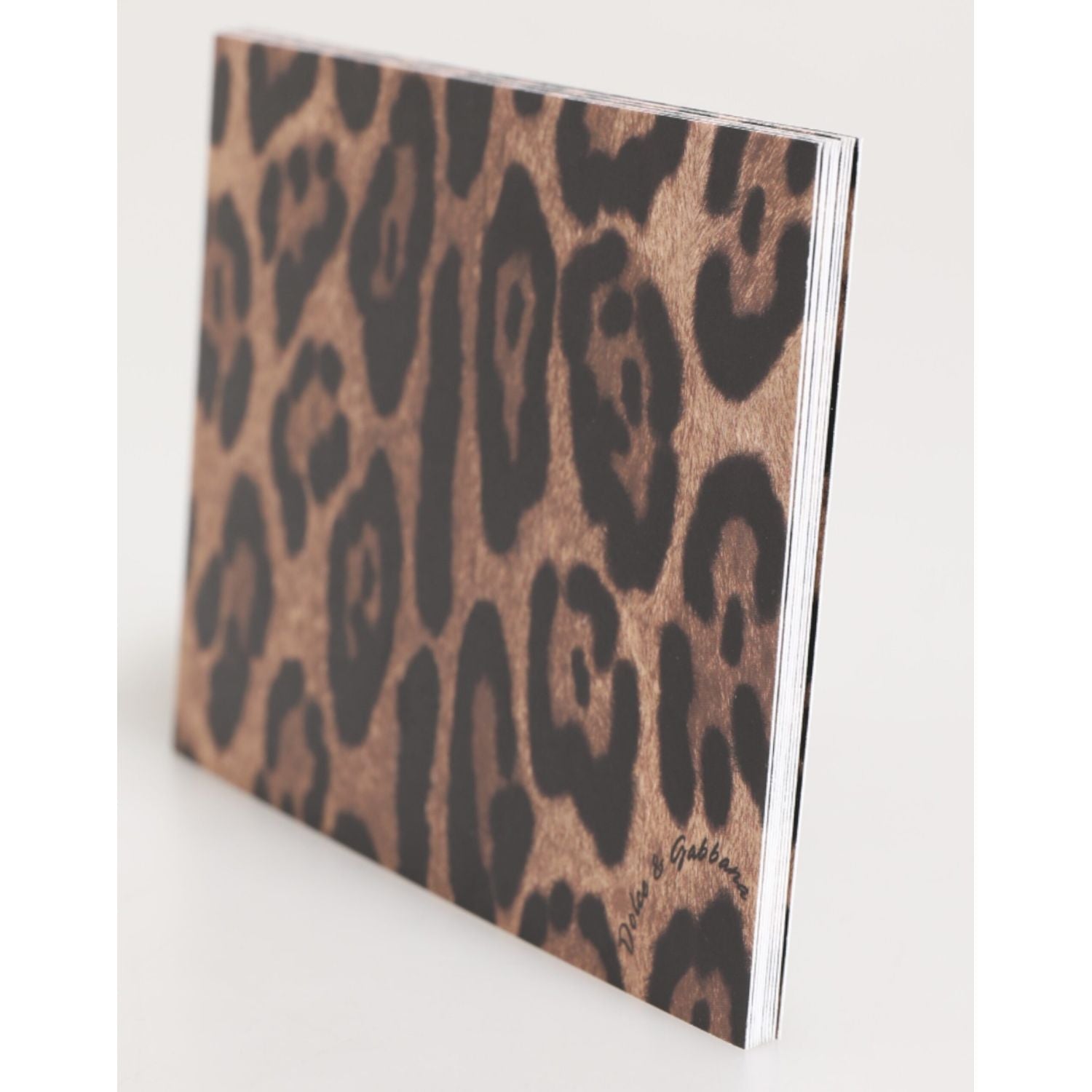 Dolce & Gabbana Multicolor Leopard Print Envelope Paper Post Card Holder